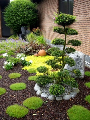 Gartenpflege Franke - Ihr Landschaftsgaertner für Gartenpflege, Hecken- und Baumschnitt in Nidda, Hungen, Lich, Buedingen, Bad Vilbel, Butzbach, Altenstadt, Bad Vilbel und Wölfersheim