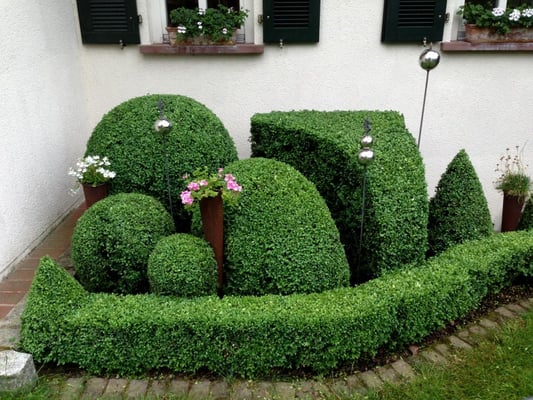 Gartenpflege Franke - Ihr Landschaftsgaertner für Gartenpflege, Hecken- und Baumschnitt in Nidda, Hungen, Lich, Buedingen, Bad Vilbel, Butzbach, Altenstadt, Bad Vilbel und Wölfersheim