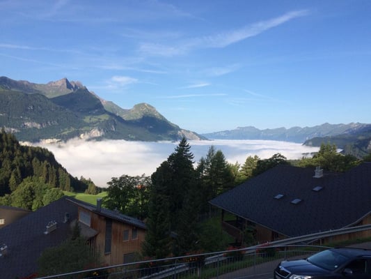 Aussicht vom Sitzplatz 