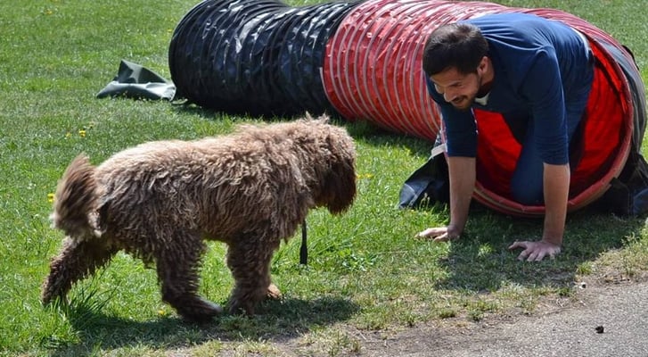 Für Hund & Herrl gehts ab durch den Tunnel!