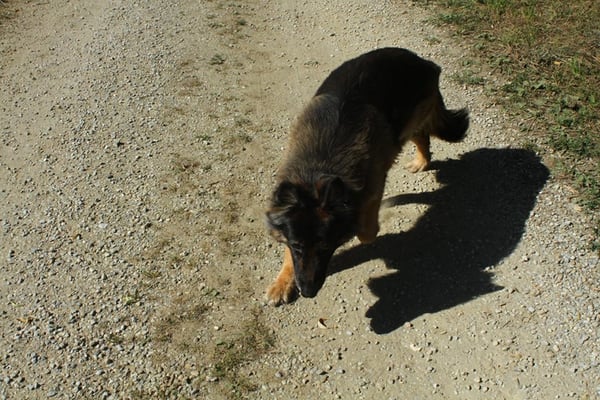 Auch unsere Gute Alte Marc Antonia ist immer noch begeistert dabei!