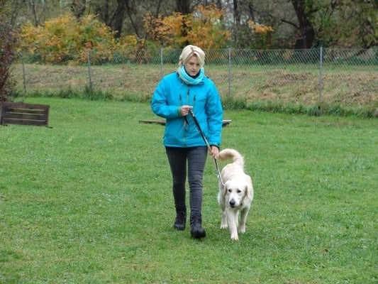 Daniela Darnhofer mit Zocker