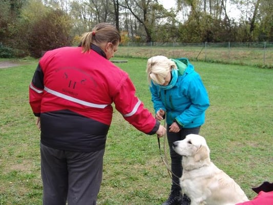 Futterverweigerung - eine wichtige Übung!