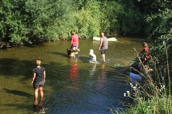 Wir trotzen der Hitzewelle und weichen gerne mal auf unseren 4. Kursplatz aus - die Raab! 