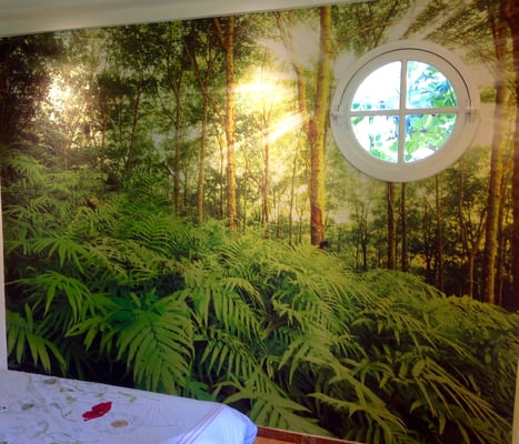 La végétation dans une chambre.