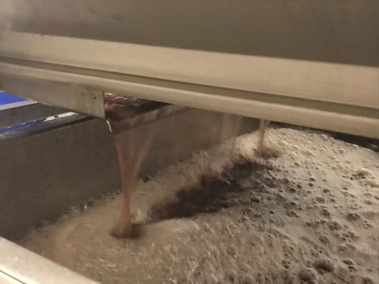 Frischer Traubensaft