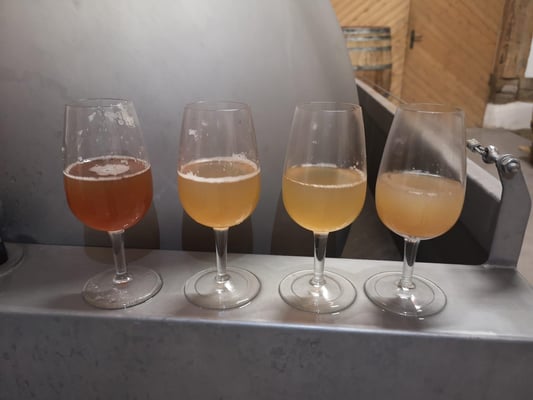 Ein gutes Resultat nach der Ganztraubenpressung. HansUeli ist mit dem Resultat sehr zufrieden und wir natürlich auch! 