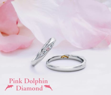 Pink Dolphin（ピンクドルフィン）