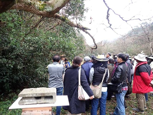 2020年2月山田緑地みつばちプロジェクトの様子-2