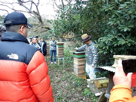 2020年2月山田緑地みつばちプロジェクトの様子-1