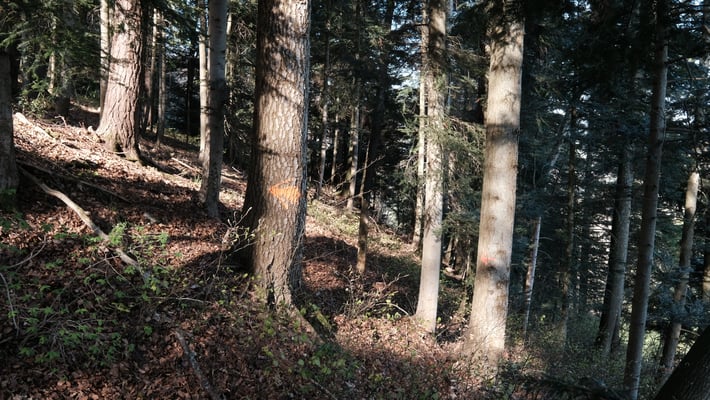 Und wieder ein steiler Abschnitt. Hoch zum Gaissrain.