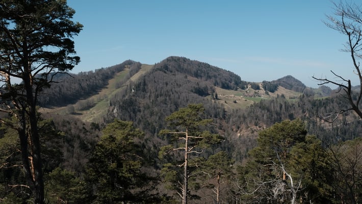 Vogelberg, Schattberg und Bürten
