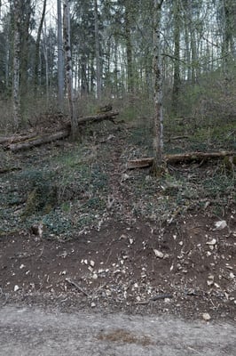 Steil führt die Spur den Wald hoch, links an der kleinen Baberten vorbei