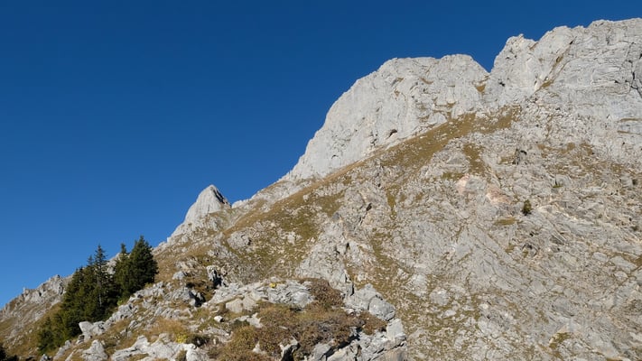 Steil geht's hoch. Hinten erscheint die Gummfluh.