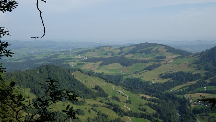Finsterwald (Mitte links), Gfellen (rechts unten)