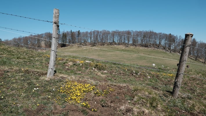 Schattberg. Die höchste Erhebung von Reigoldswil.
