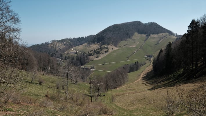 Links über dem Hof Wasserfallen: Änziane