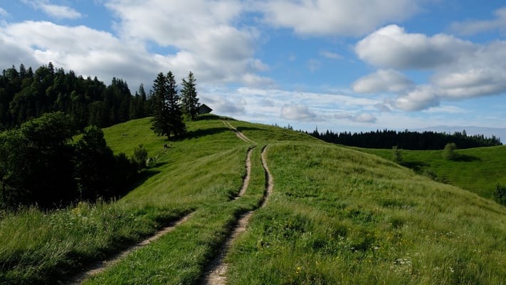 Landschaft im Bereich des Biseggchnubel
