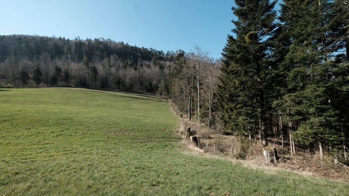 Der letzte Anstieg Richtung Änziane