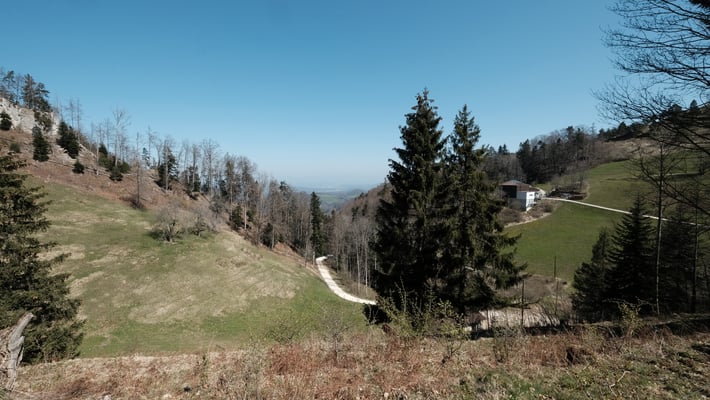 Ein Blick zurück zur Bergstation