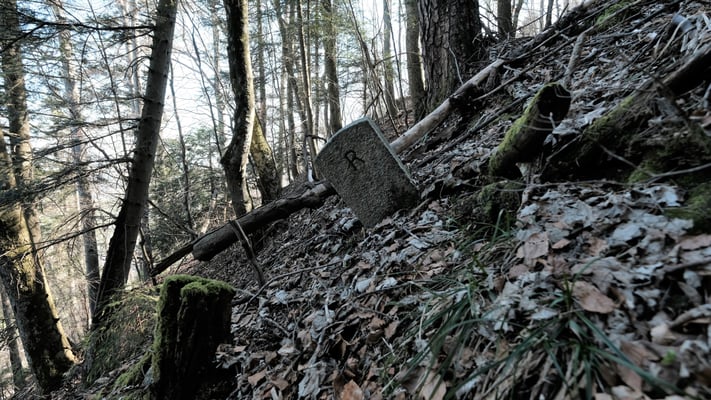 Auch der Grenzstein kämpft mit dem Gelände