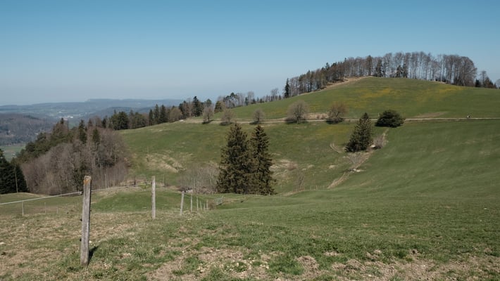 Nun folgt der weitere Abstieg bis zum Aemlisbach. All die mühsam erarbeiteten Höhenmeter werden in kurzer Zeit wieder "vernichtet".