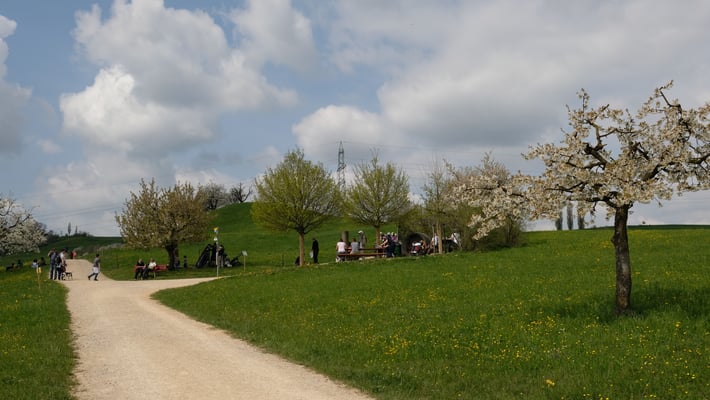 Ein toller Picknickplatz