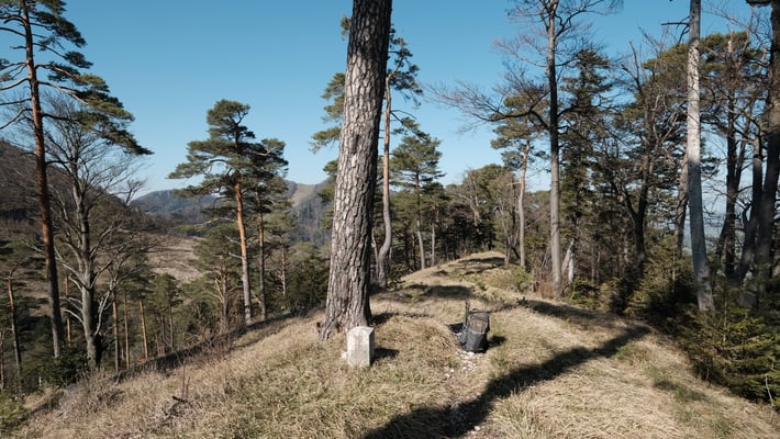 Endlich auf der Änziane. Jetzt gibt's die erste Pause.