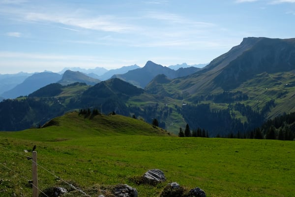 Ein Rotschwänzli geniesst die Aussicht auf Glärnisch, Niederbauen-Chulm, Oberbauenstock, Schwalmis etc