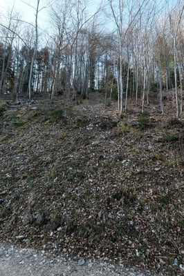 Der Hang ist ca. 45° steil. Leider kann man das auf dem Foto schlecht erkennen.