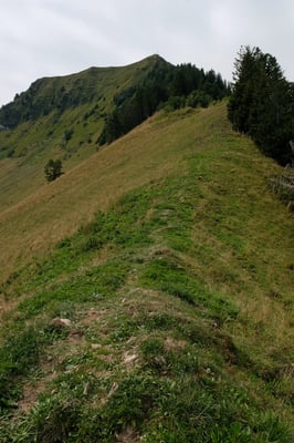 Rückblick zum Buochserhorn vom Guberengrätli