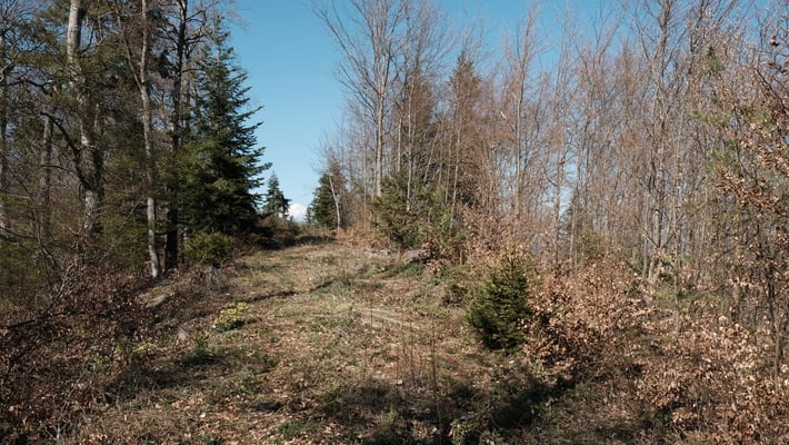 Über Schweini geht's weiter zum Binzeberg