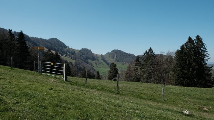 Ängibergwegweiser. Im Hintergrund der Geitenberg und die Ulmethöhe.