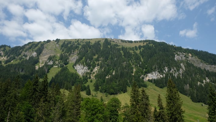 Die Kerbe ist der Übergang vom Hengst zum Schimbrig