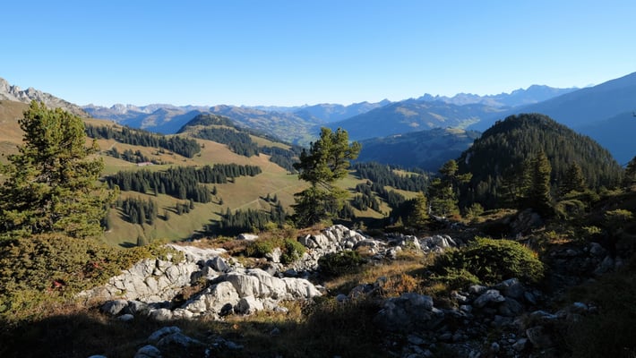 Blick Richtung Saanen