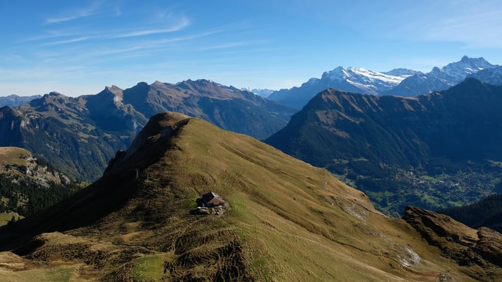 Sousegg und Gelber Schopf