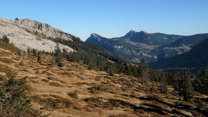 Zu Beginn wandert man durch den Wald und über Wiesen