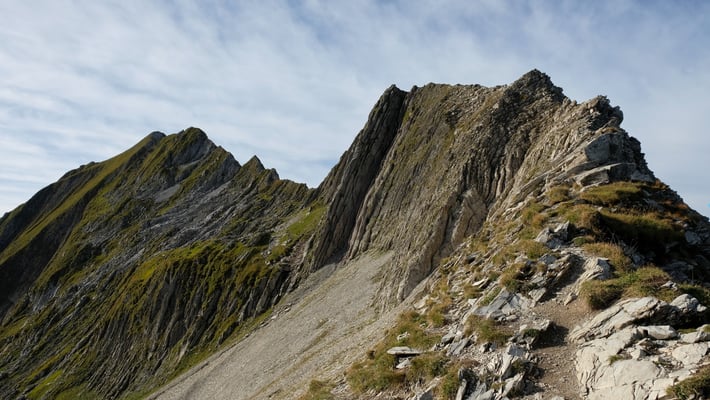 Und schon ist P. 2182 erreicht. Links hinten der Vanil noir und vorne rechts die Tête de l'Herbette
