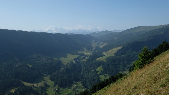 Die Alpen liessen sich blicken, leider bei bescheidener Fernsicht