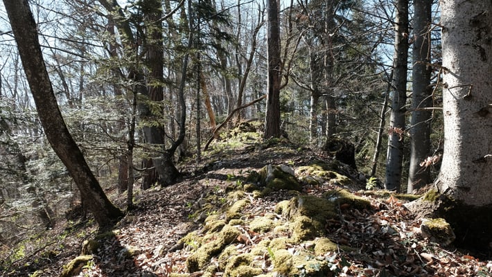 Binzeberg. Noch ein schöner Juragrat.