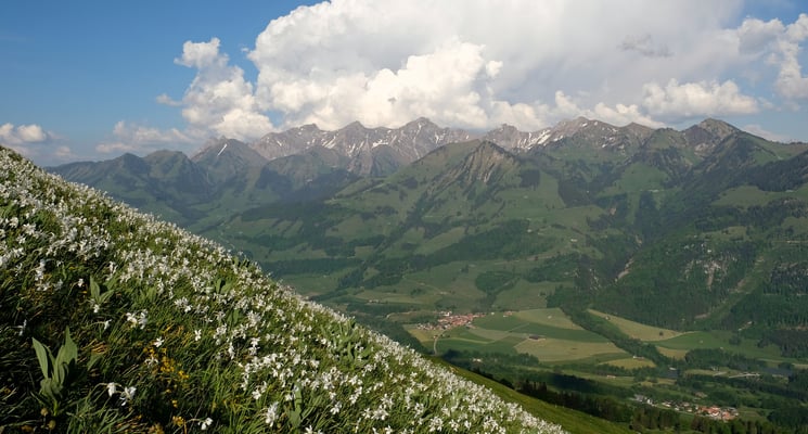 Nochmals die höchsten Freiburger Berge