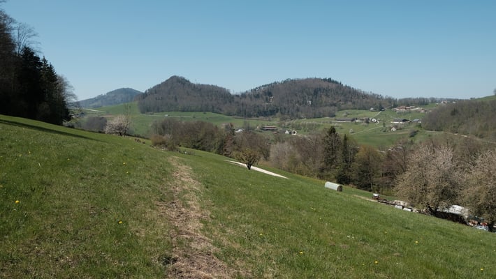 Die Grenze verläuft nun ziemlich gerade Richtung Eichhöhe