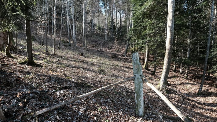 Steil ... aber das hatten wir ja schon