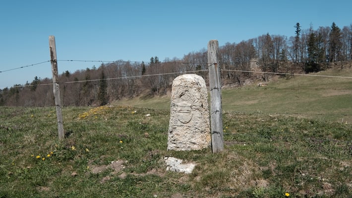 Kantonsgrenzstein und auch Grenzstein von Reigoldswil/Mümliswil/Lauwil