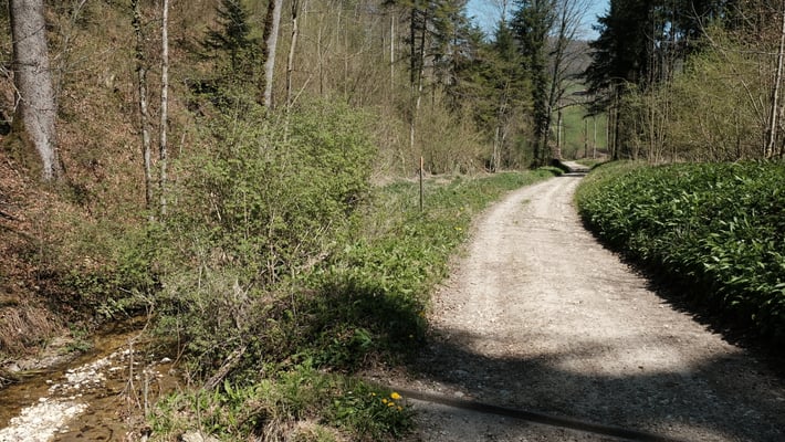 Beim Aemlisbach. Blick Richtung Reigoldswil ...