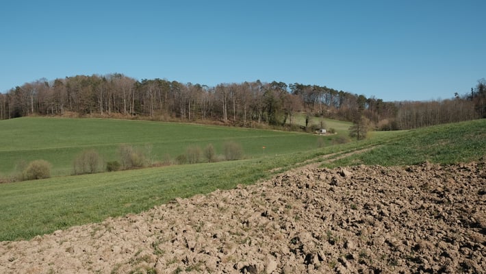 Und weiter zum Schuppen und dann nach links dem Waldrand entlang