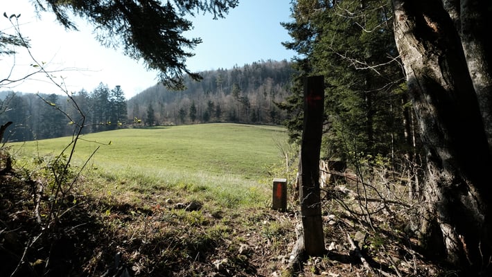 Diese Wiese heisst auf der Landkarte "Chline Wold"