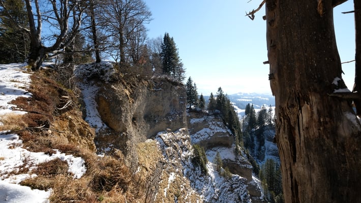 Beim Gipfel des Hängst