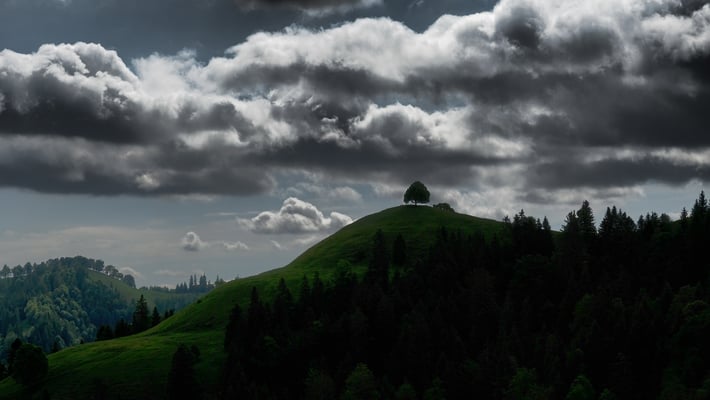 Gegenlichtfoto (stark bearbeitet)
