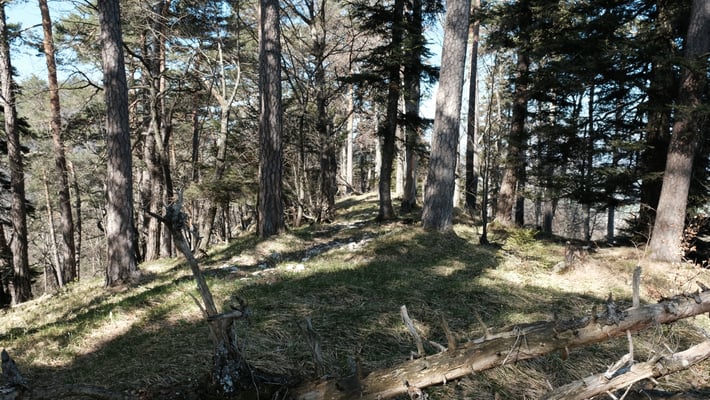 Im Abstieg Richtung Wasserfallentunnel